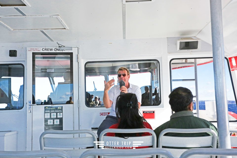 澳洲雪梨景點 captain cook cruises sydney出海賞鯨 Whale Watching Sydney 雪梨親子景點