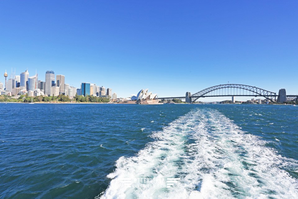 澳洲雪梨景點 captain cook cruises sydney出海賞鯨 Whale Watching Sydney 雪梨親子景點