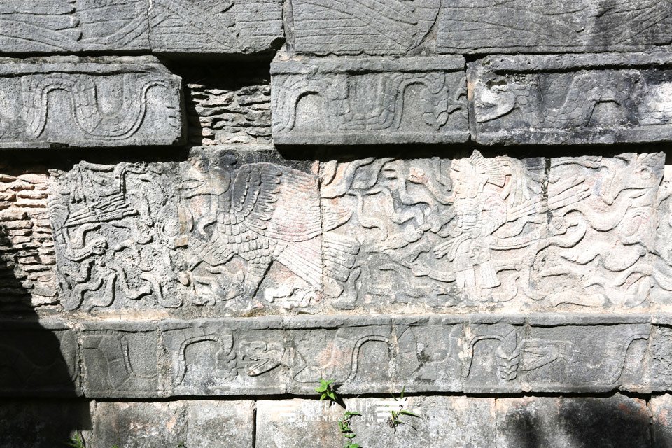 墨西哥尤卡坦半島 奇琴伊察Chichen Itza /墨西哥天坑Cenote Ik-Kil