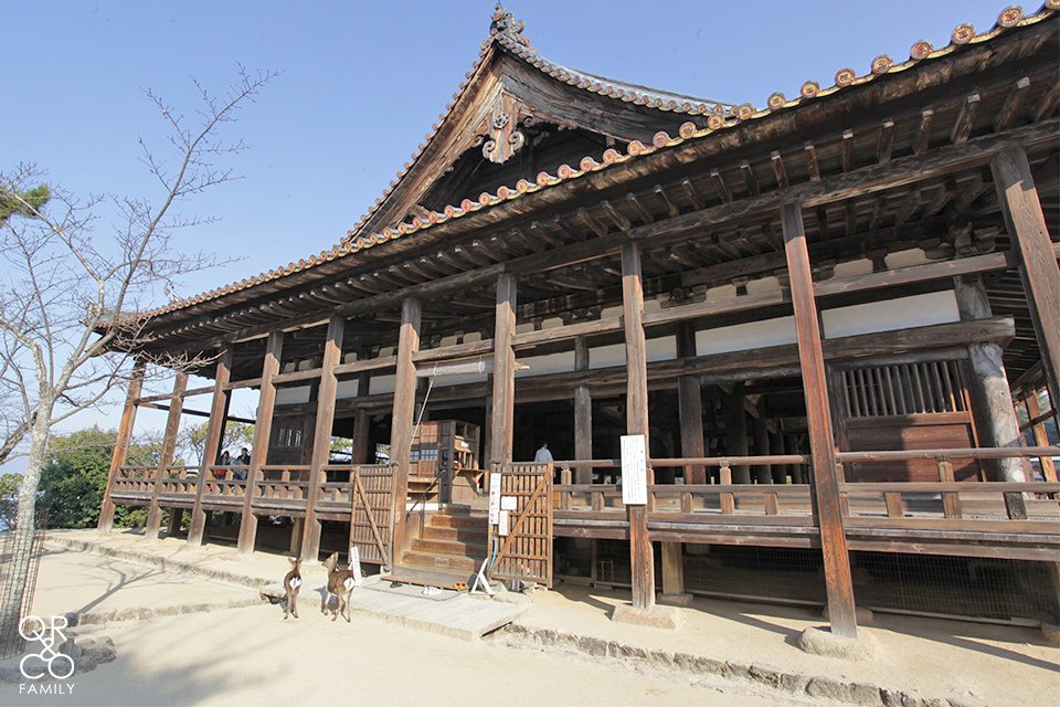 IMG_3304 拷貝.jpg