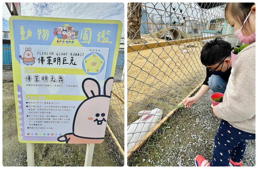 ♪ ♩ ♫~*嘻遊記--宜蘭冬山*~♪ ♩ ♫ &lt;星夢森林劇