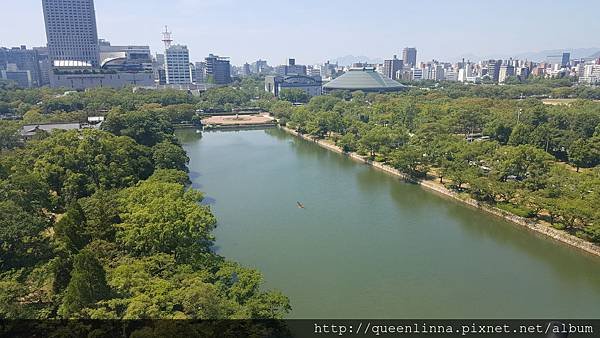 20160812_104619.jpg