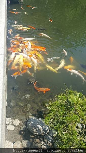 20160812_114946.jpg