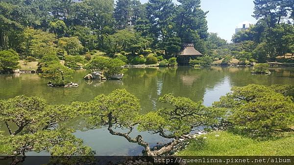 20160812_115009.jpg