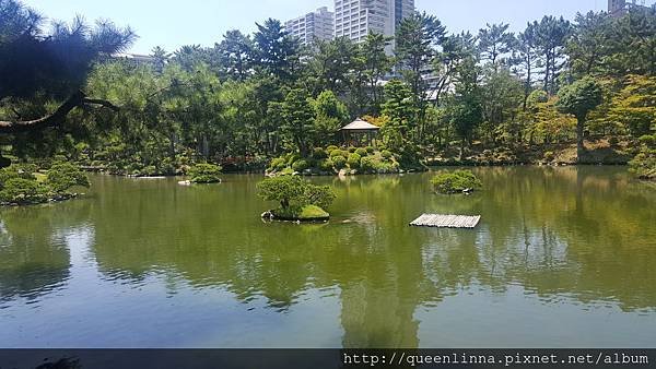 20160812_121115.jpg