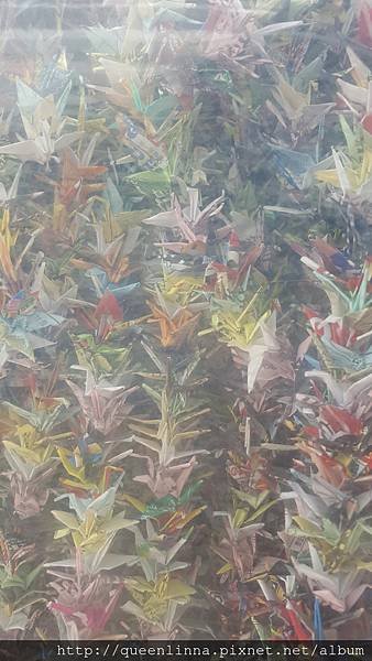 20160812_152243.jpg