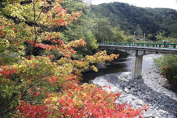 武陵+福壽山賞楓外拍之旅2013.11.13.14 006