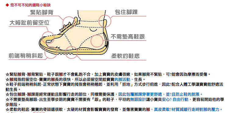 螢幕快照 2013-05-13 下午10.41.06
