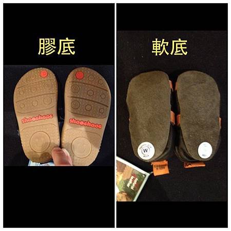 照片 (11)