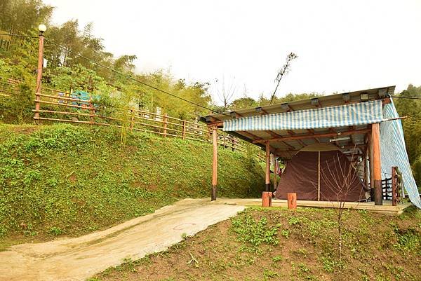 010.JPG