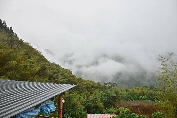 DSC_0047.JPG