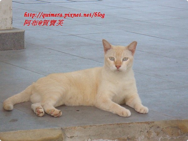 DSC04525.JPG
