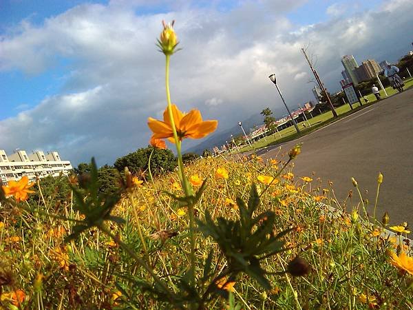 2011-09-27 16.48.38.jpg