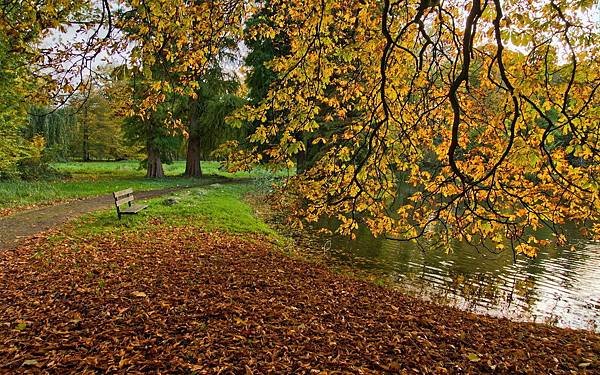 Autumn-lake