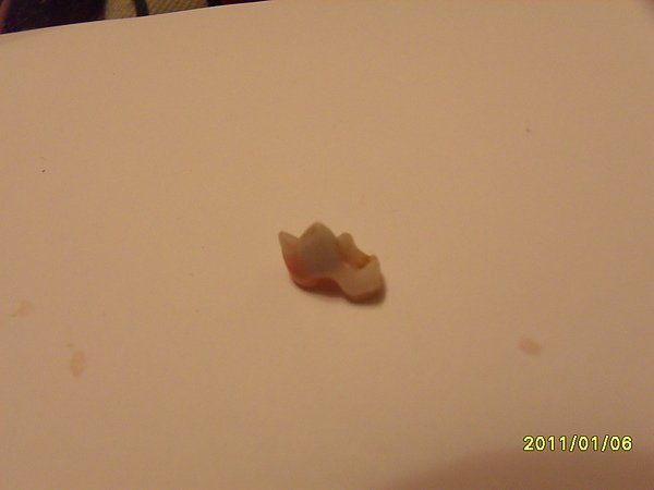 SDC11209.JPG