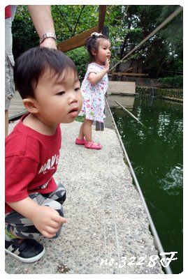 DSCF4531.JPG