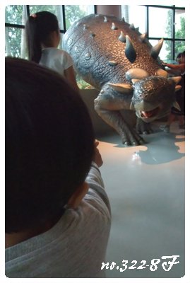 DSCF4853.JPG