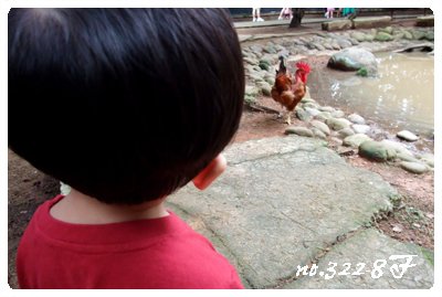 DSCF4554.JPG