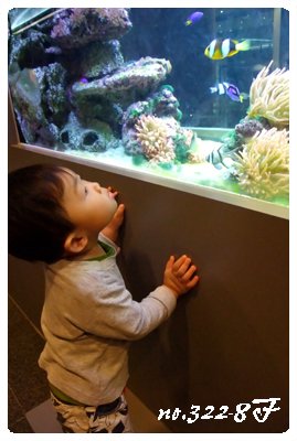DSCF4908.JPG