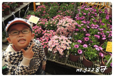 DSCN1300