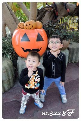 DSCN1558.JPG