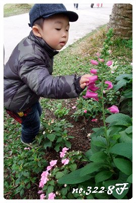 DSCF8514.JPG