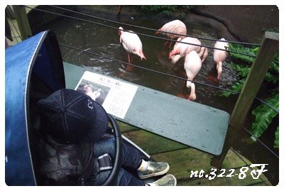 DSCF8540.JPG