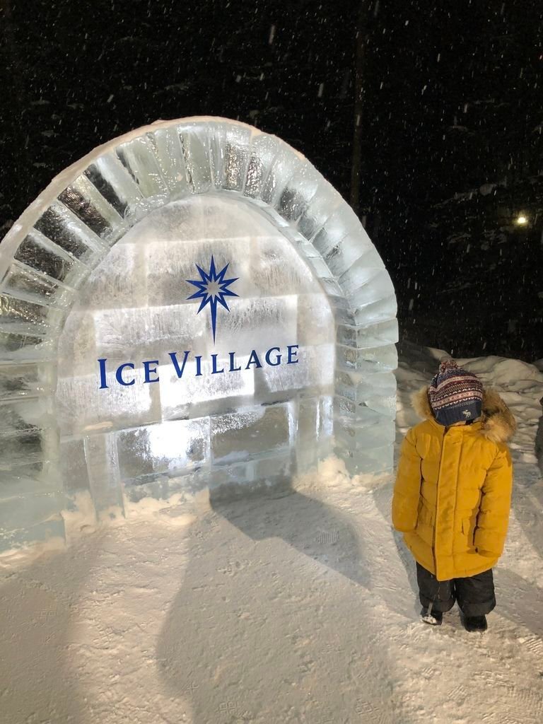 ICE VILLAGE (10).JPG