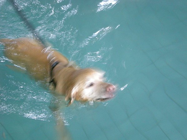DSCN3211.JPG