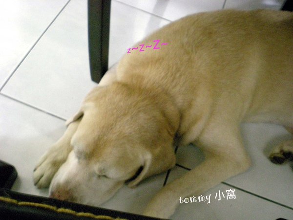 DSCN3770拷貝.jpg
