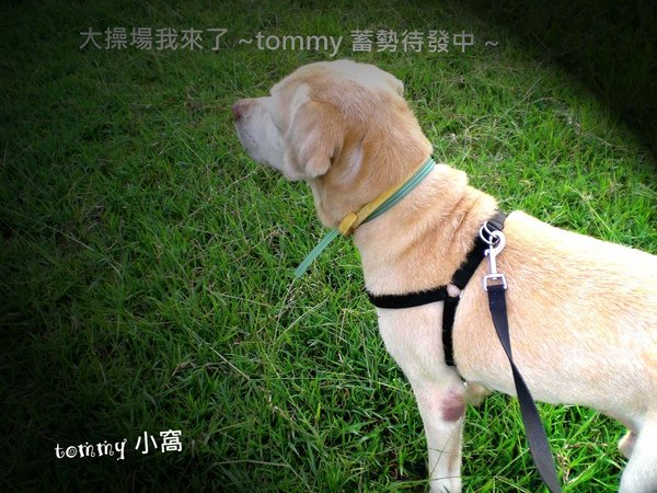 DSCN3400拷貝.jpg