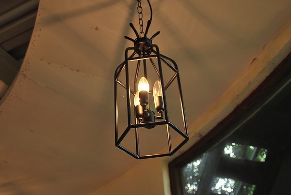 DSC_0109.JPG