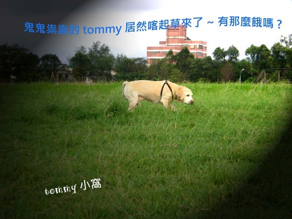 DSCN3411拷貝.jpg