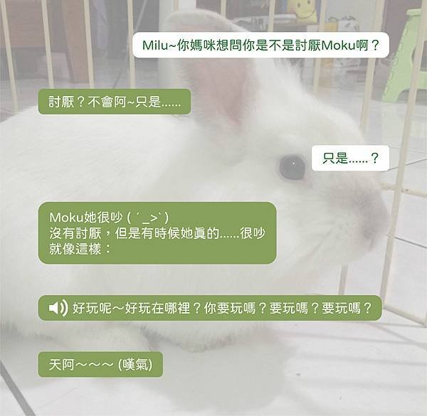 在世動物溝通：Milu (圖文).jpg