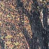 1000616_23.jpg