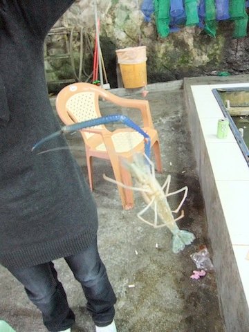 DSCF2047.JPG