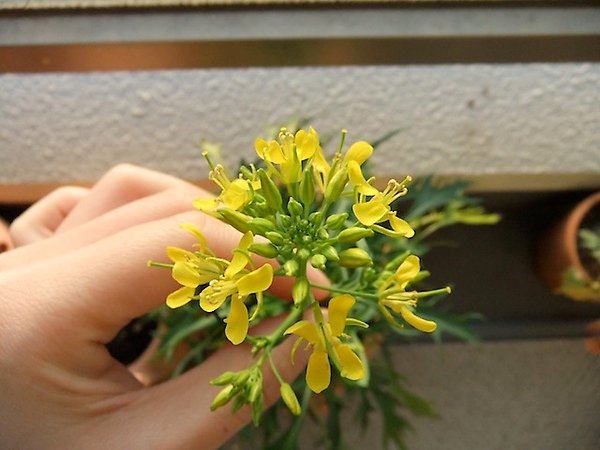 DSCF3004.JPG
