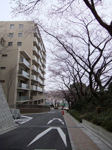 DSCF3046.JPG