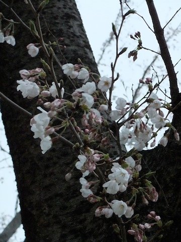 DSCF3051.JPG
