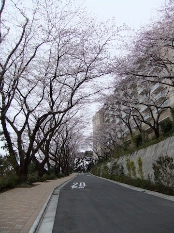 DSCF3052.JPG