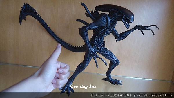 圖片11.jpg