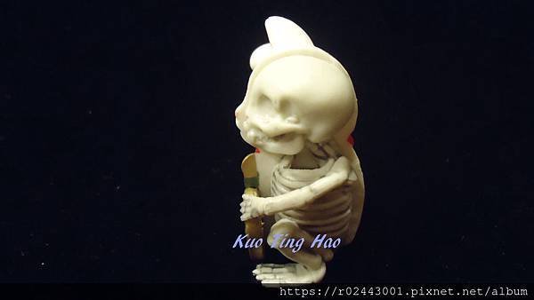 DSC00880.jpg