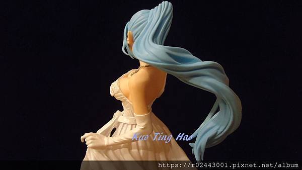 DSC01694.jpg