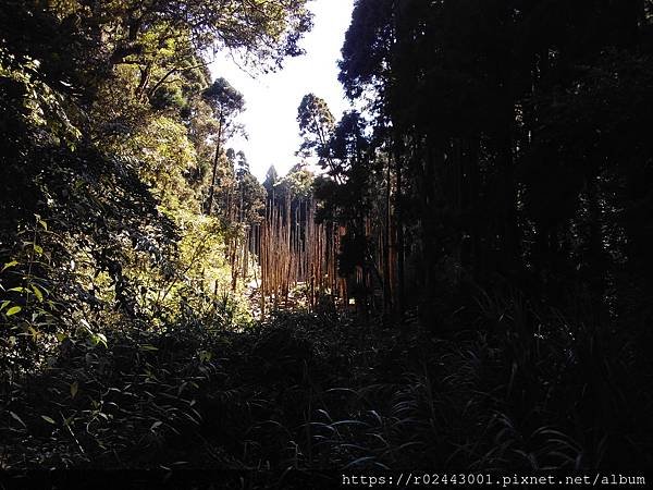 P_20201222_104147.jpg