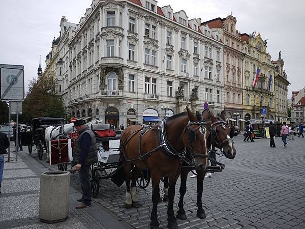 P1120573.JPG