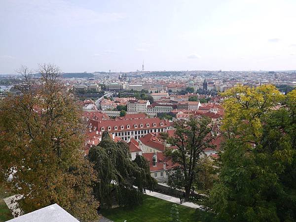 P1120646.JPG