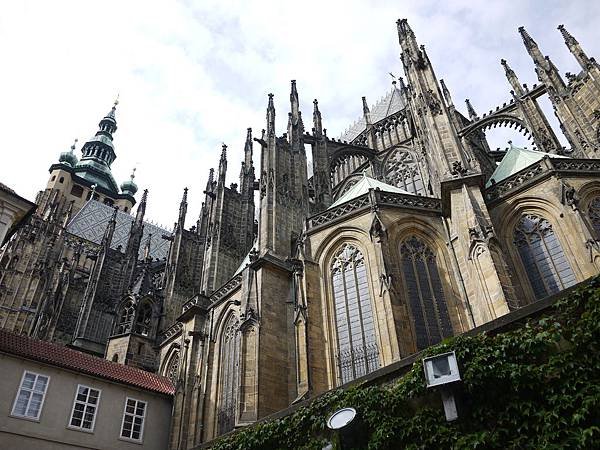 P1120649.JPG