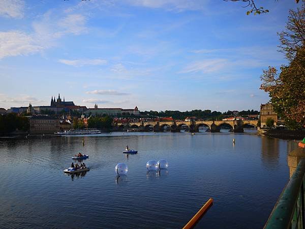 P1120714.JPG
