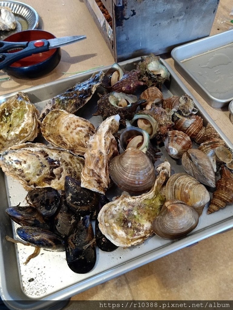 海鮮浜焼き まるはま日本千葉縣推薦燒烤海濱燒Recommended BBQ Seaside Grill in Chiba Prefecture, Japan11.JPG