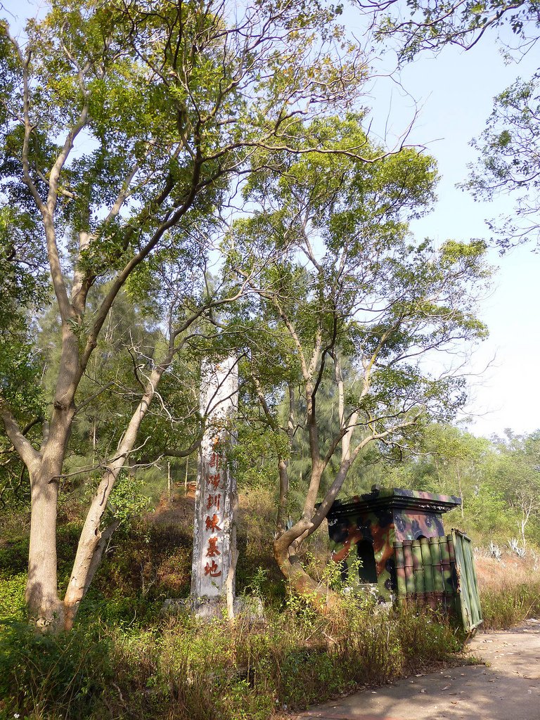 P1000275